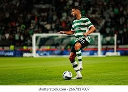 拜仁锁定药厂中场维尔茨，今夏重磅引援