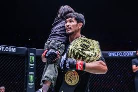 F1分站赛结果汇总